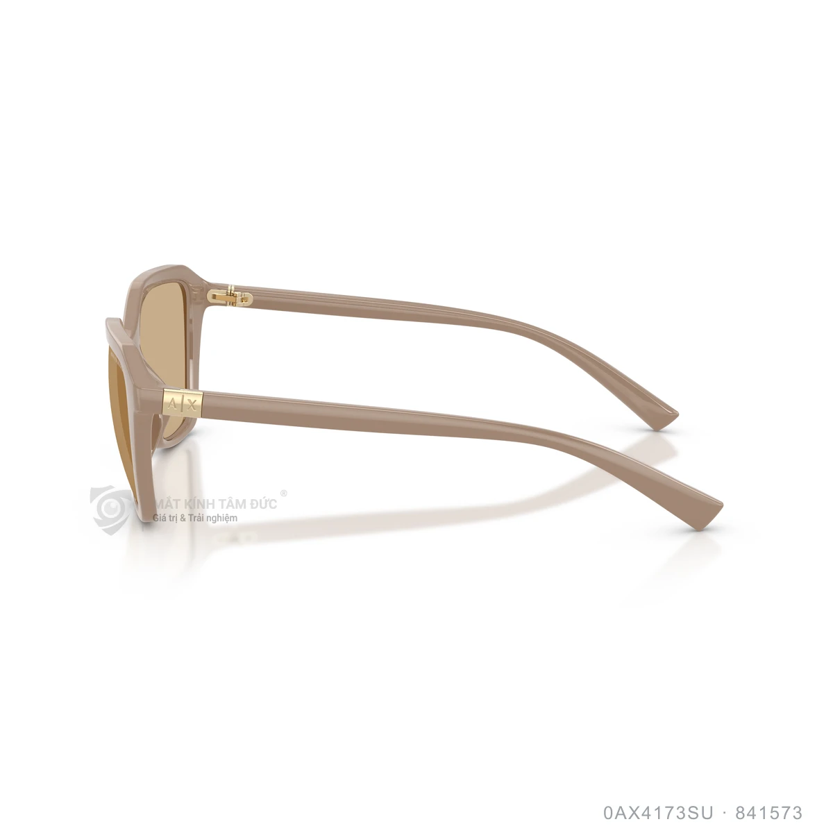 Kính mát Armani Exchange 0AX4173SU - Ảnh 19