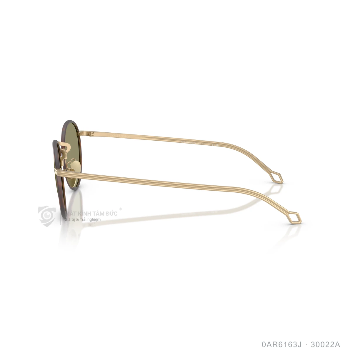 Kính mát Giorgio Armani 0AR6163J - Ảnh 4