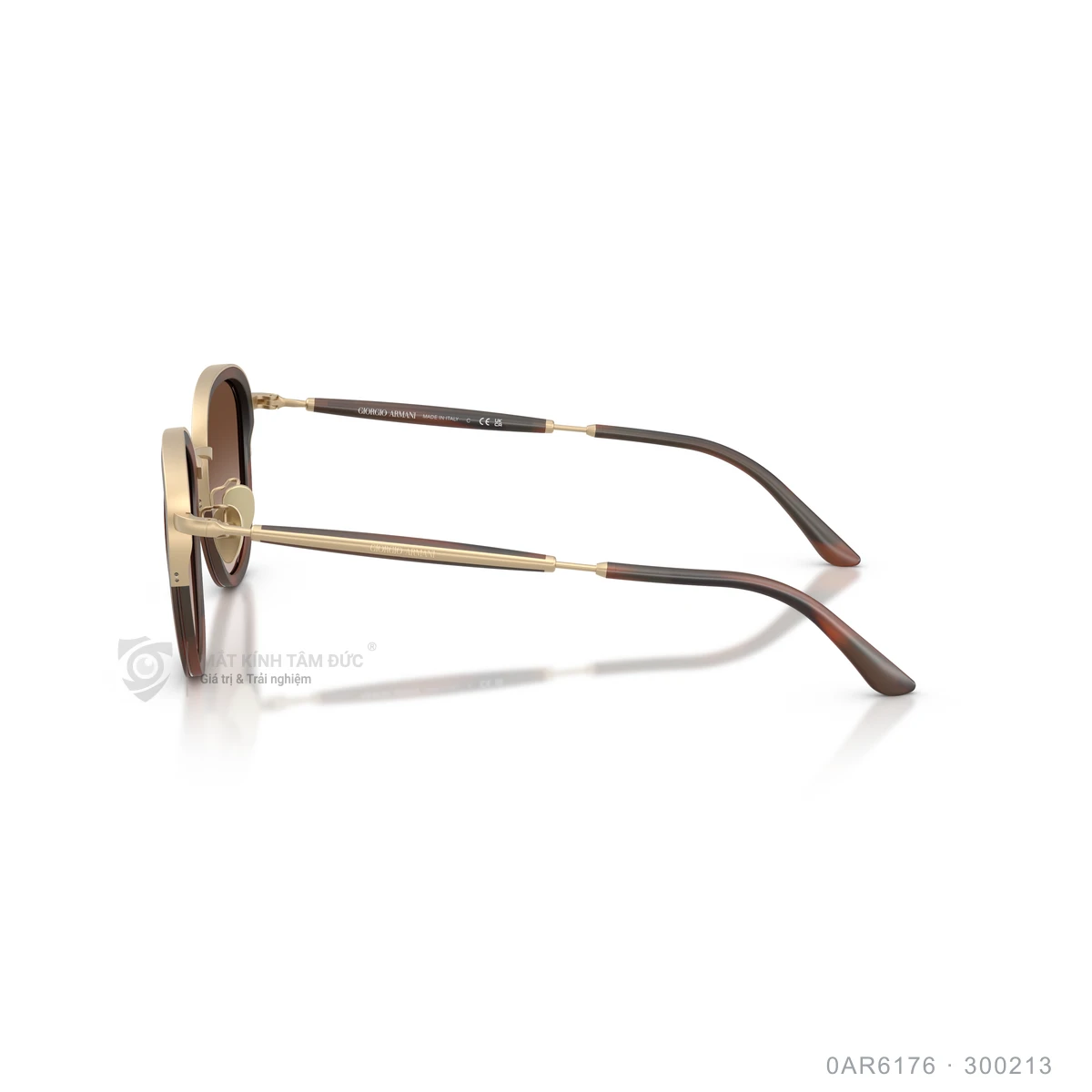 Kính mát Giorgio Armani 0AR6176 - Ảnh 9