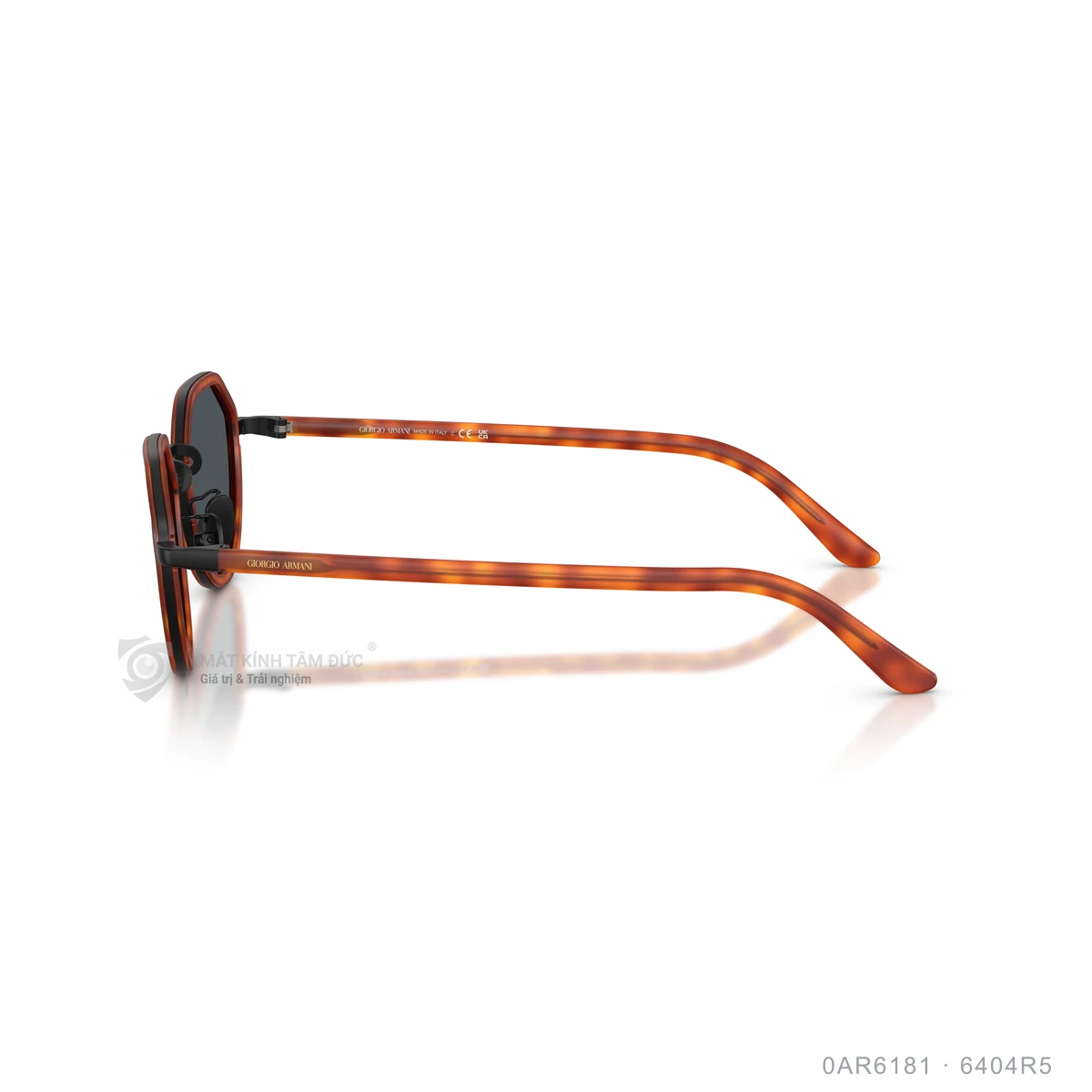 Kính mát Giorgio Armani 0AR6181 - Ảnh 14