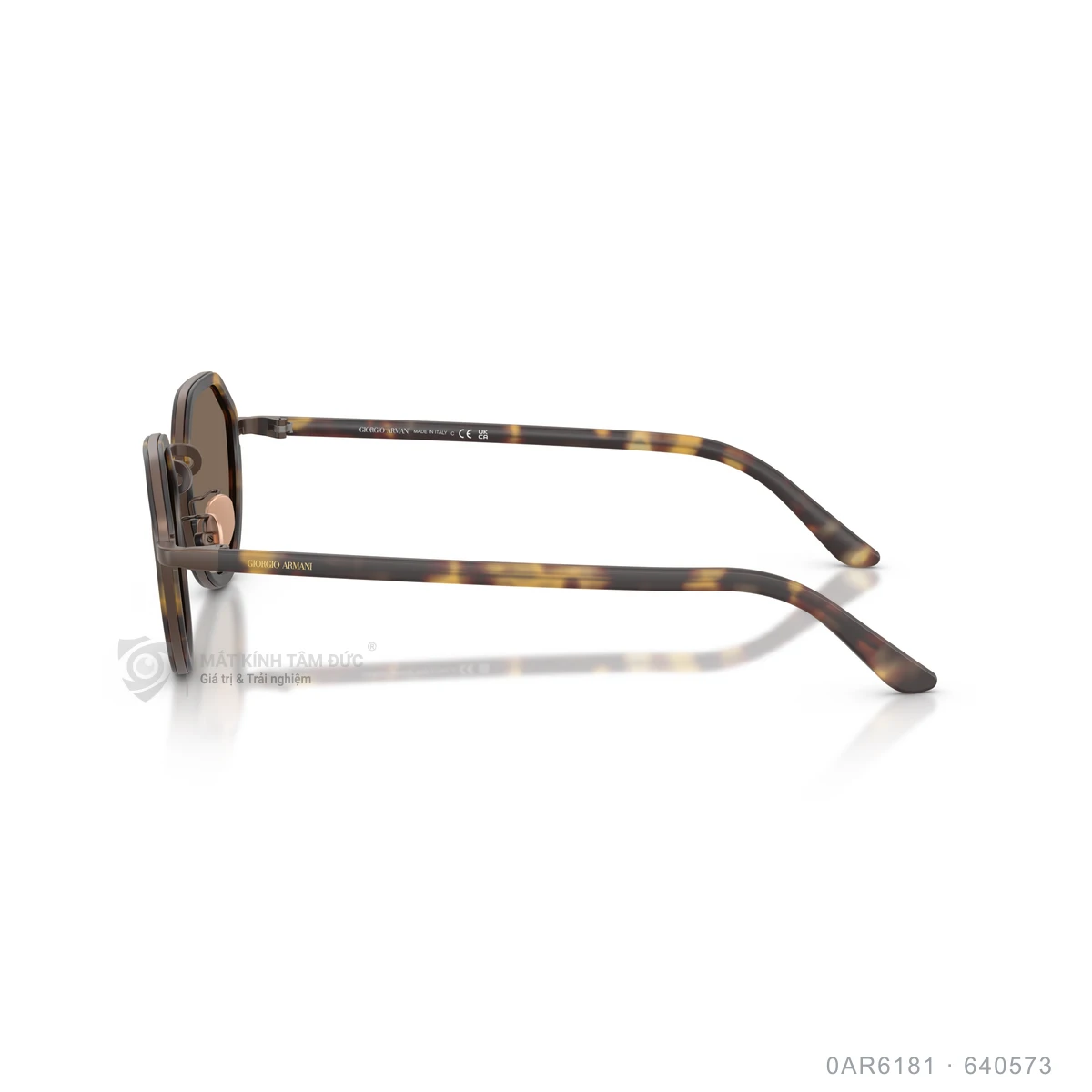 Kính mát Giorgio Armani 0AR6181 - Ảnh 19