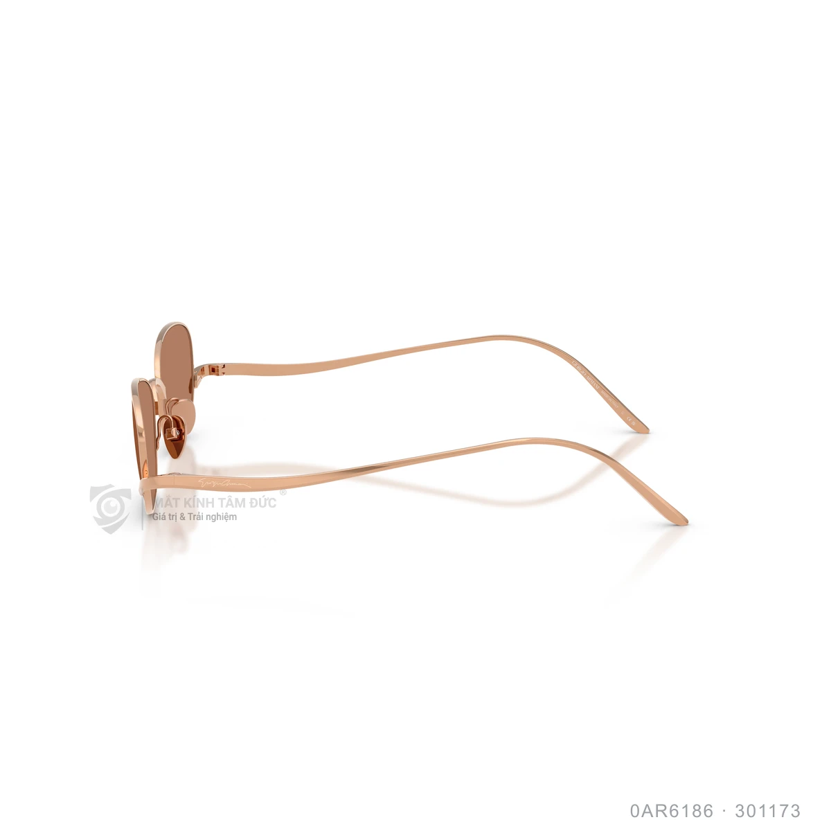 Kính mát Giorgio Armani 0AR6186 - Ảnh 4