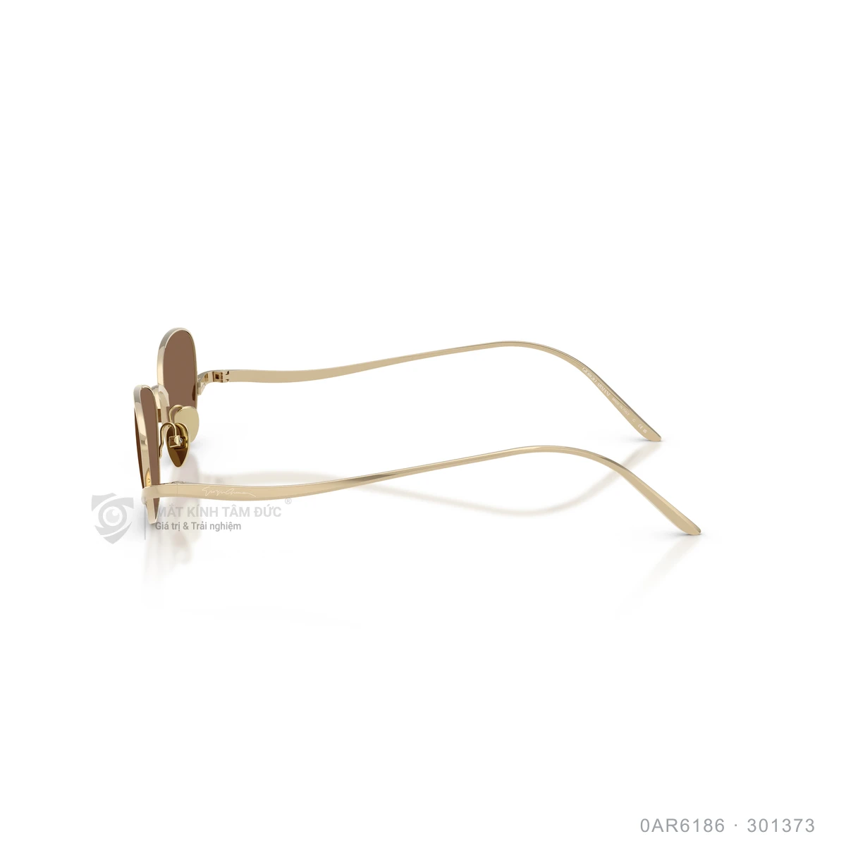 Kính mát Giorgio Armani 0AR6186 - Ảnh 9