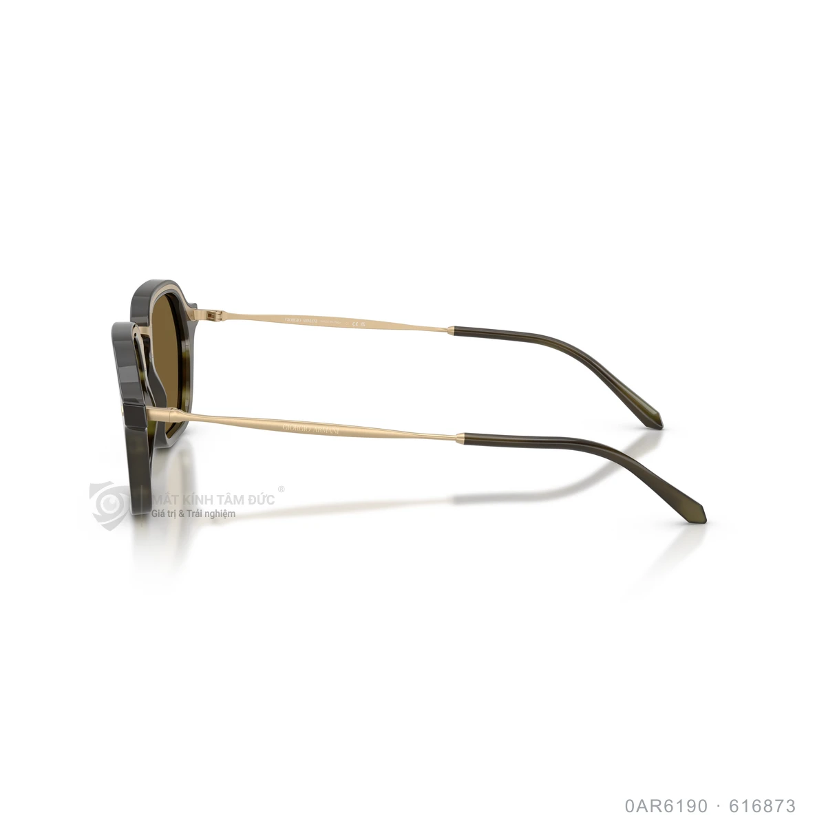 Kính mát Giorgio Armani 0AR6190 - Ảnh 9