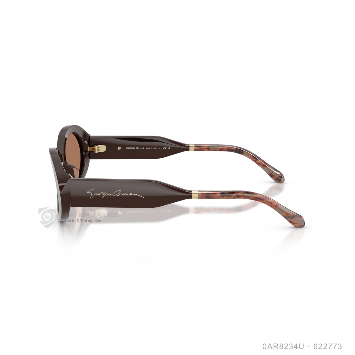 Kính mát Giorgio Armani 0AR8234U - Ảnh 9