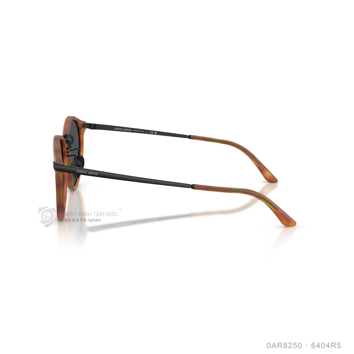 Kính mát Giorgio Armani 0AR8250 - Ảnh 14
