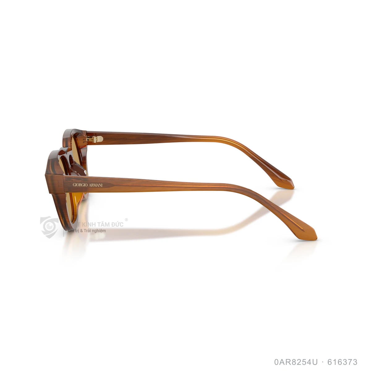 Kính mát Giorgio Armani 0AR8254U - Ảnh 9