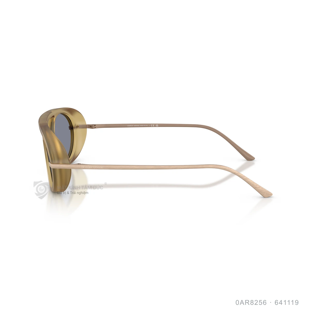 Kính mát Giorgio Armani 0AR8256 - Ảnh 4
