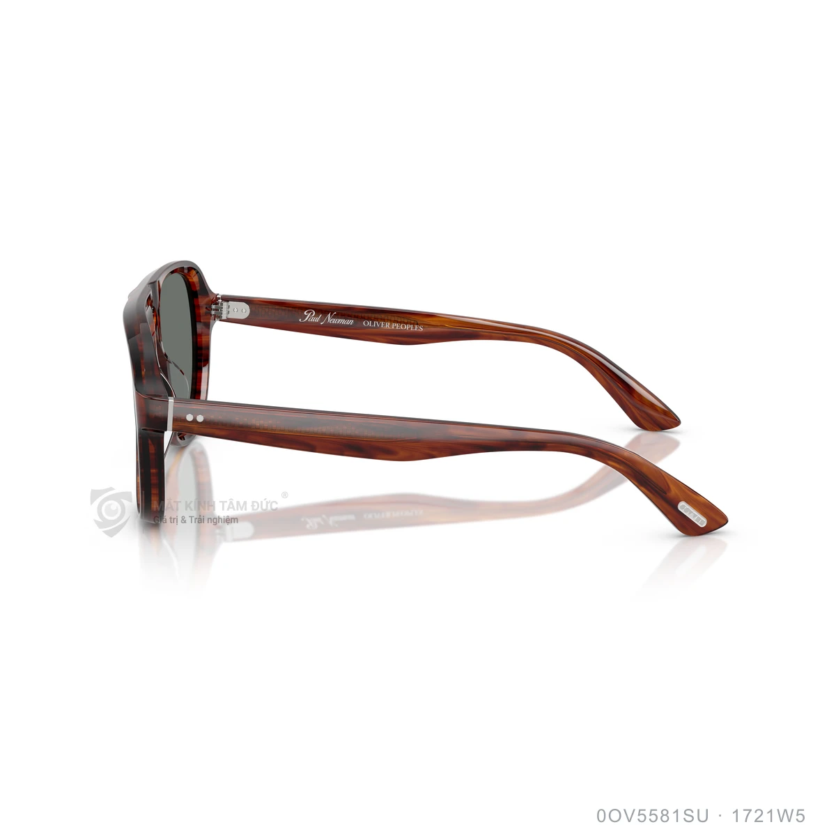 Kính mát Oliver Peoples 0OV5581SU - Ảnh 14