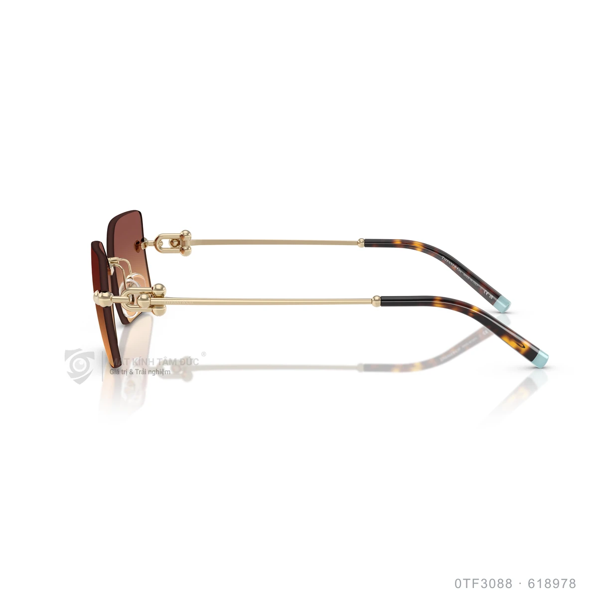 Kính mát Tiffany &amp; Co. 0TF3088 - Ảnh 9