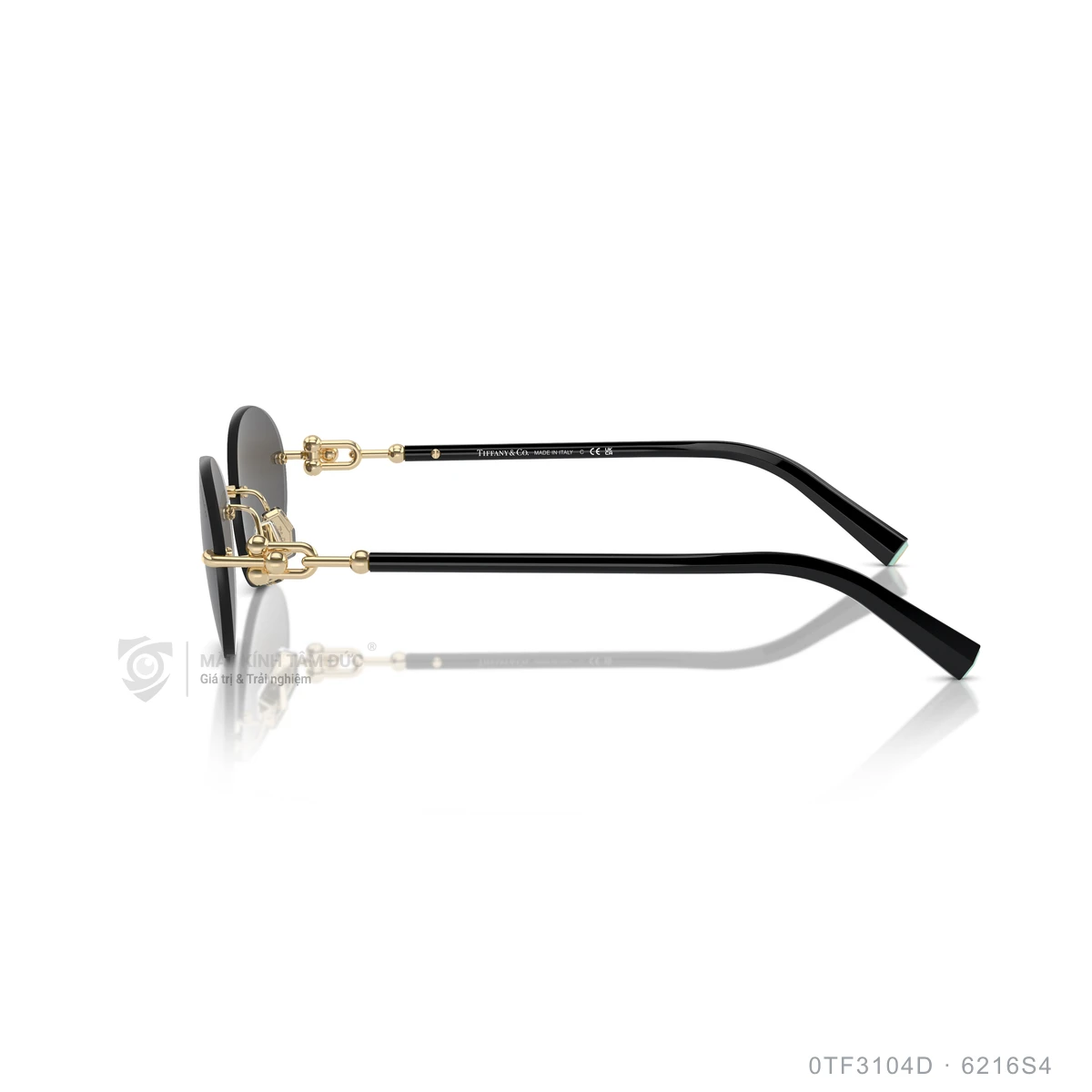 Kính mát Tiffany &amp; Co. 0TF3104D - Ảnh 24