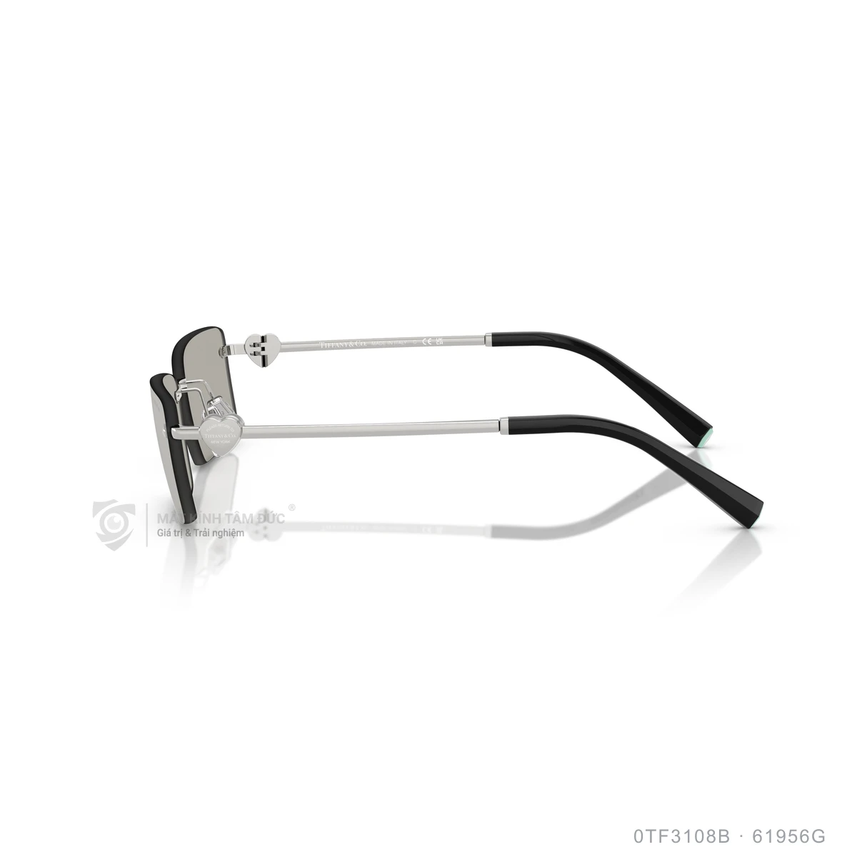 Kính mát Tiffany & Co. 0TF3108B - Ảnh 9
