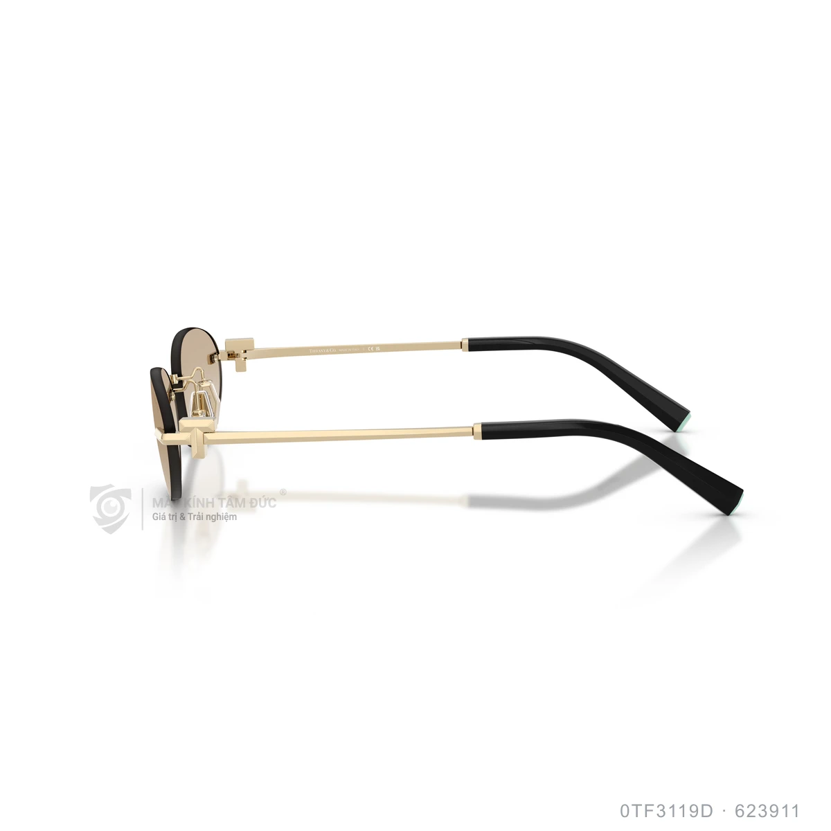 Kính mát Tiffany & Co. 0TF3119D - Ảnh 14