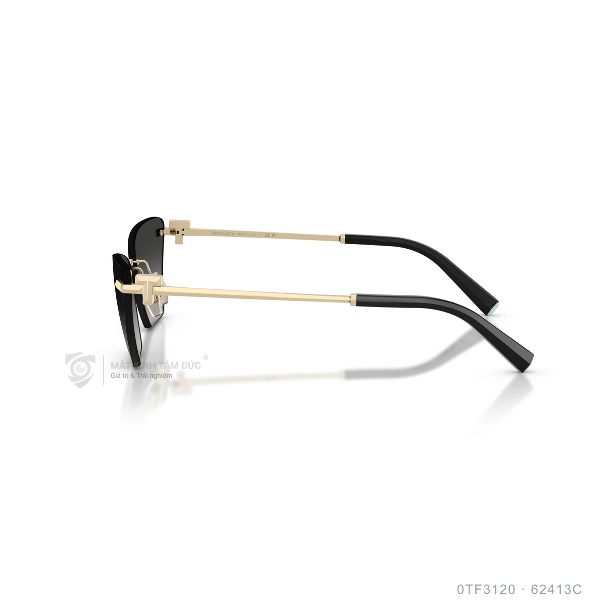 Kính mát Tiffany &amp; Co. 0TF3120 - Ảnh 14