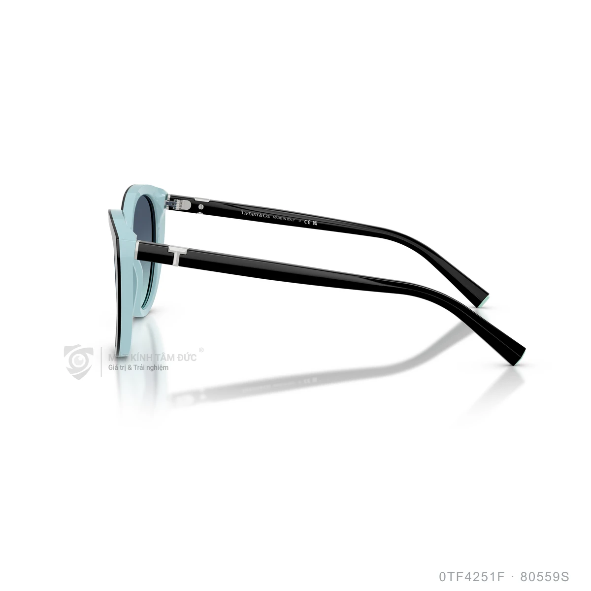 Kính mát Tiffany &amp; Co. 0TF4251F - Ảnh 9