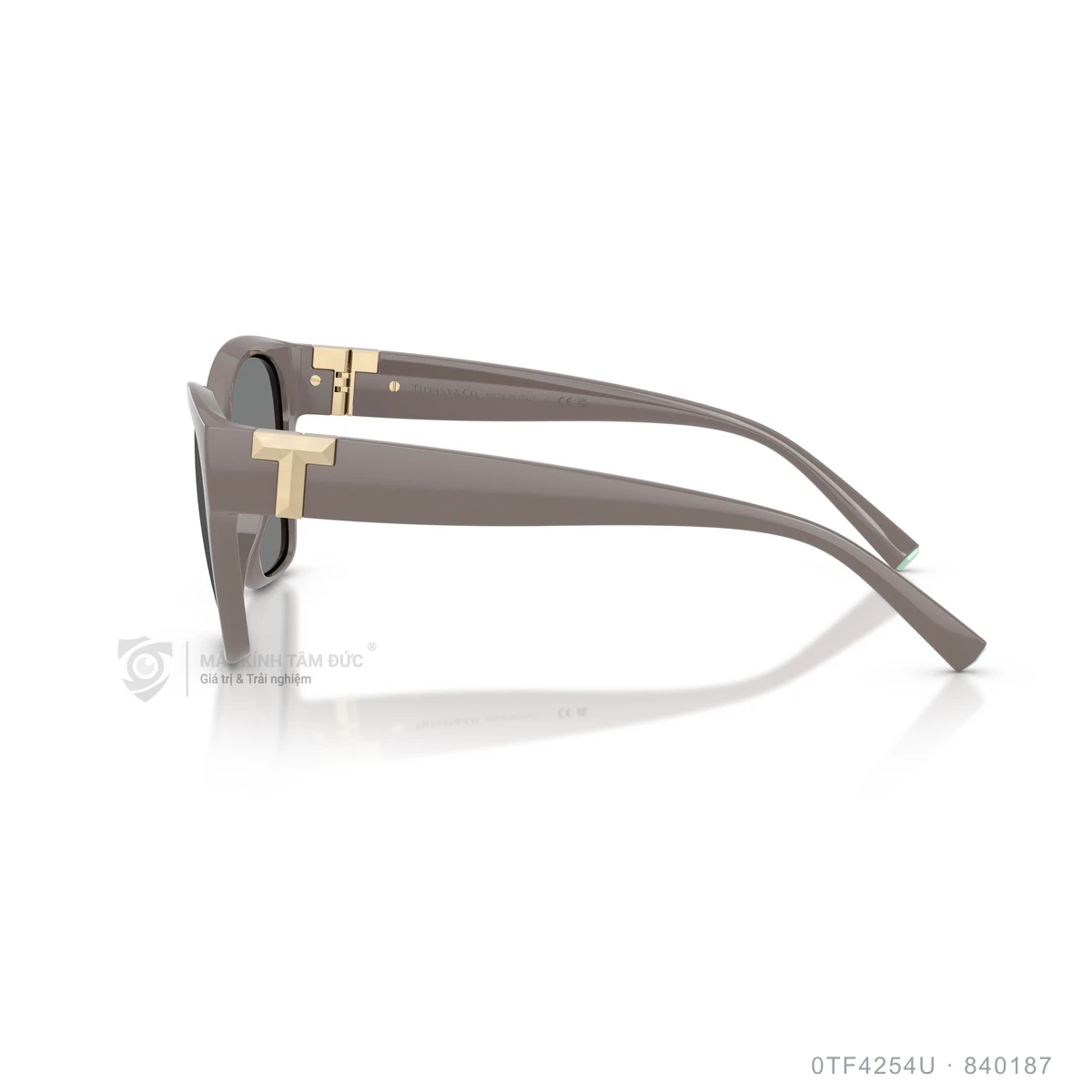 Kính mát Tiffany &amp; Co. 0TF4254U - Ảnh 14