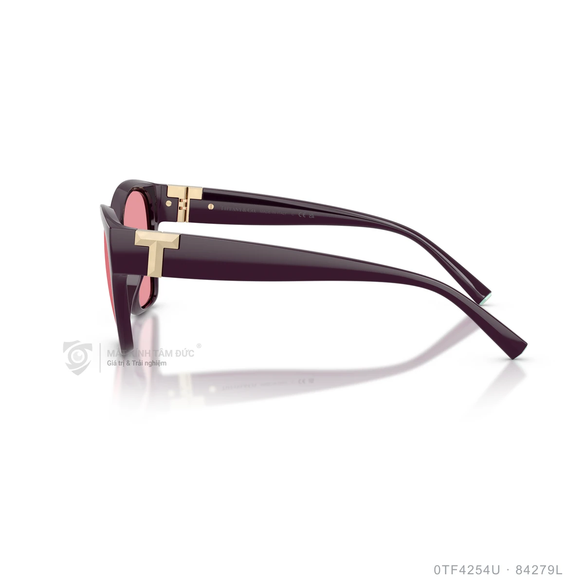 Kính mát Tiffany &amp; Co. 0TF4254U - Ảnh 19