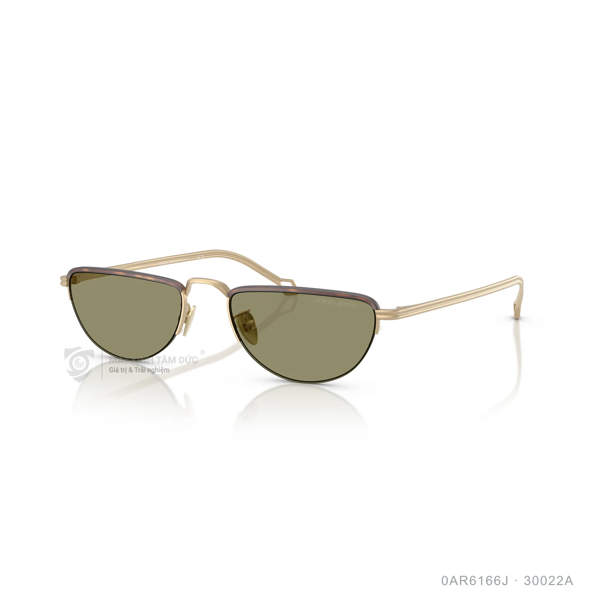 Kính mát Giorgio Armani 0AR6166J - Ảnh 2