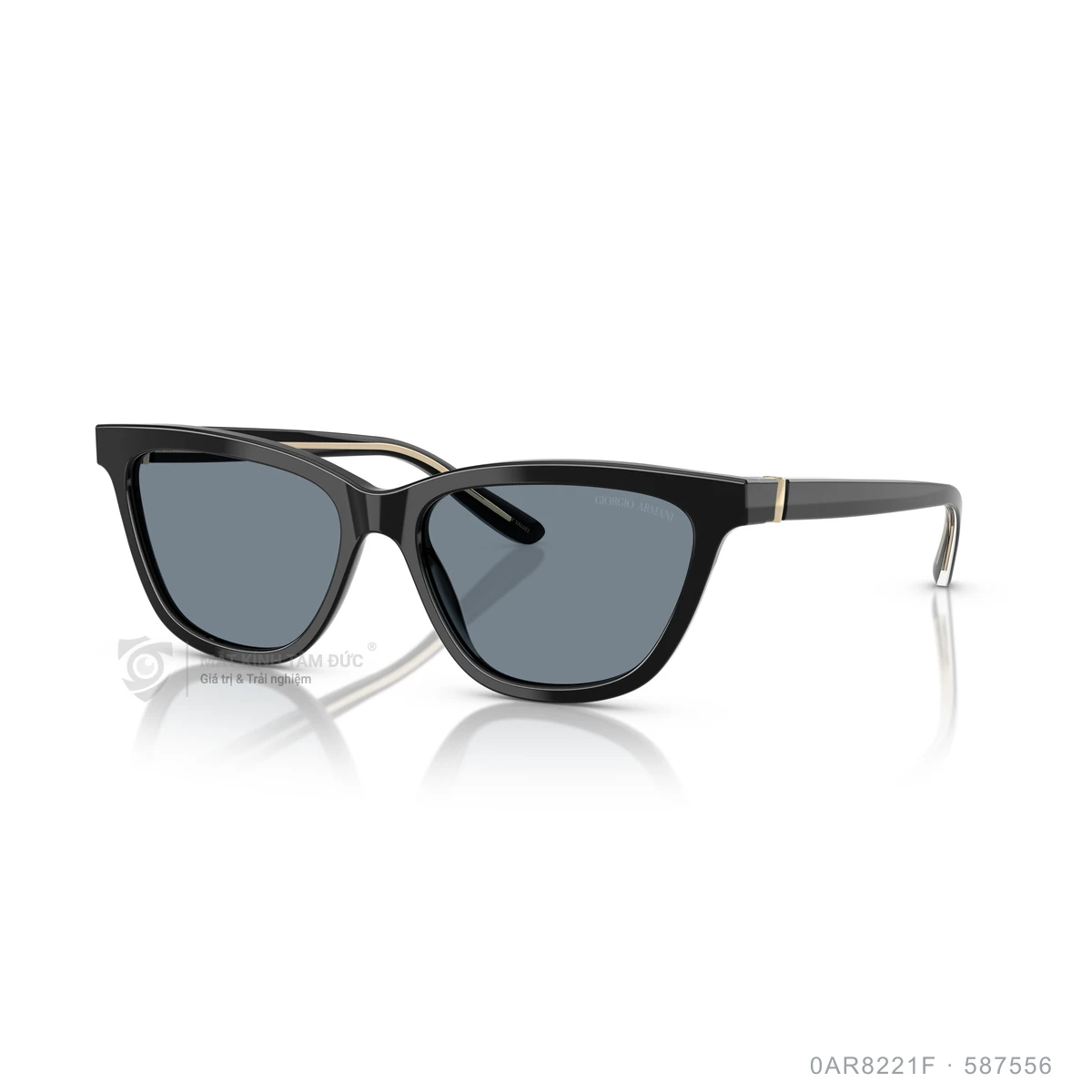 Chi tiết góc nghiêng Kính mát Giorgio Armani 0AR8221F