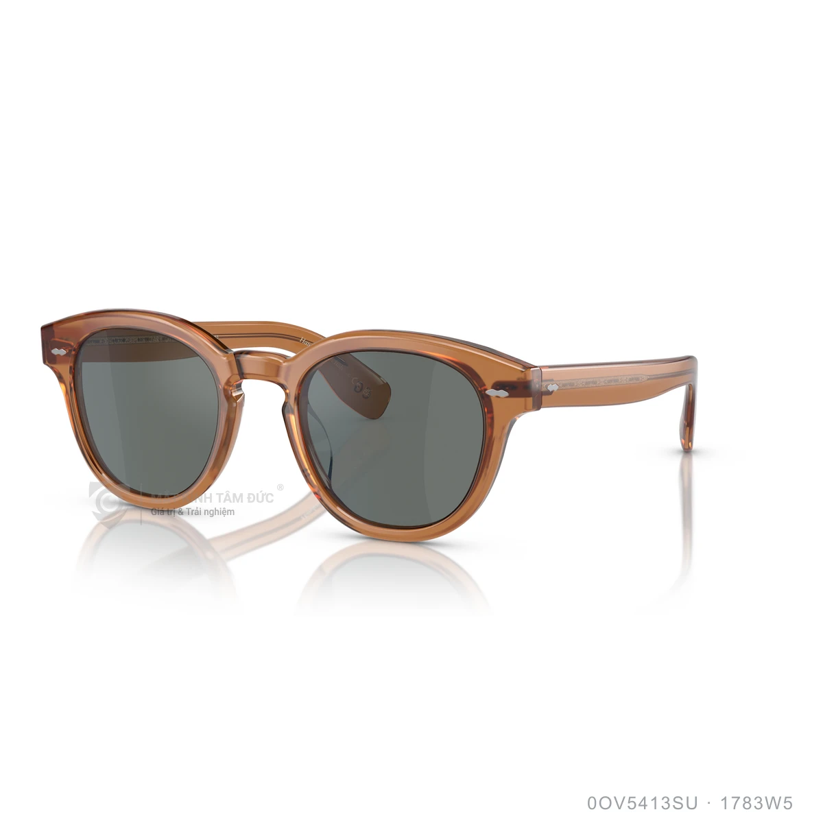 Kính mát Oliver Peoples 0OV5413SU - Ảnh 22