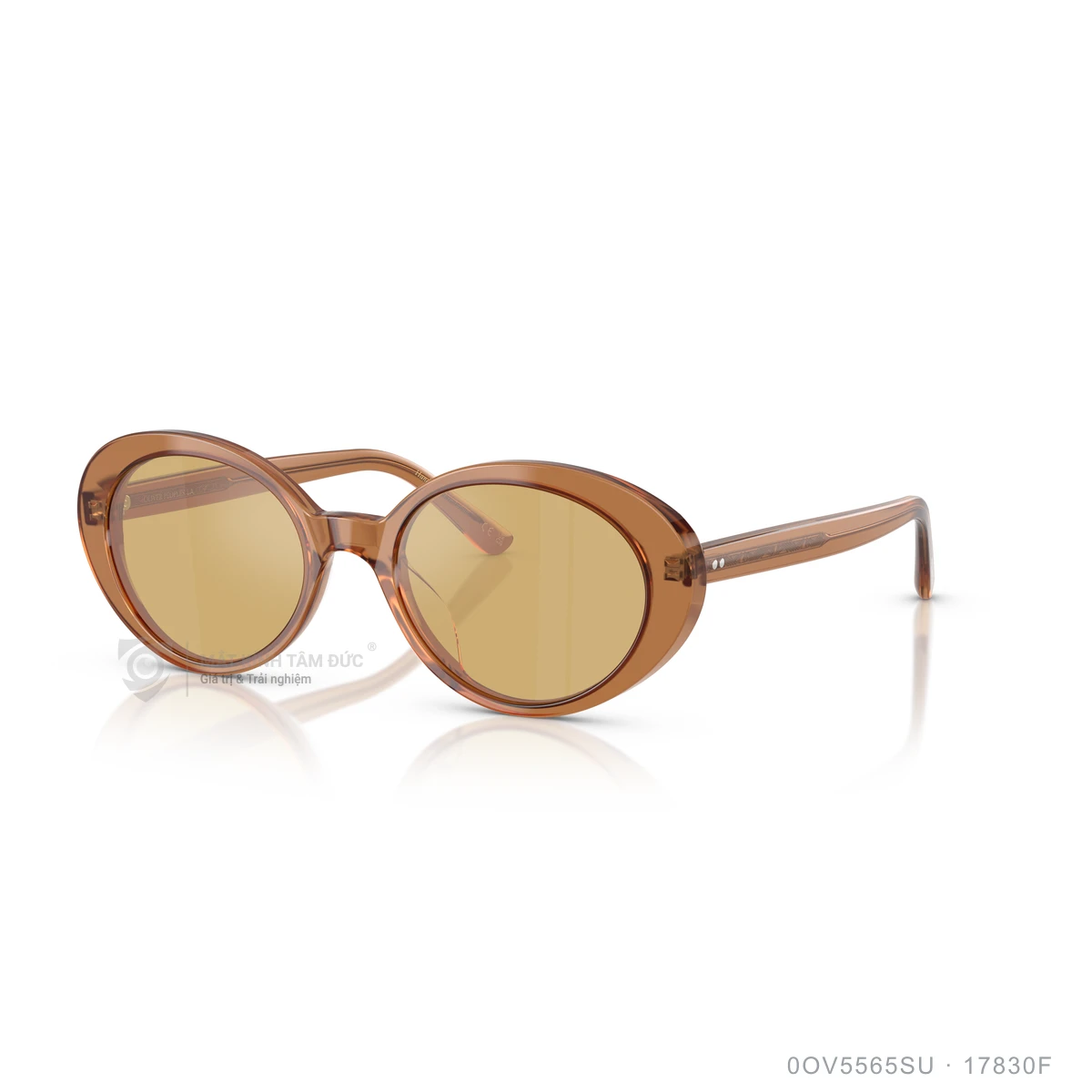 Kính mát Oliver Peoples 0OV5565SU - Ảnh 17