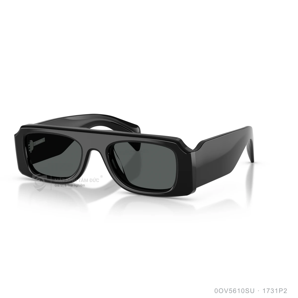 Kính mát Oliver Peoples 0OV5610SU - Ảnh 2