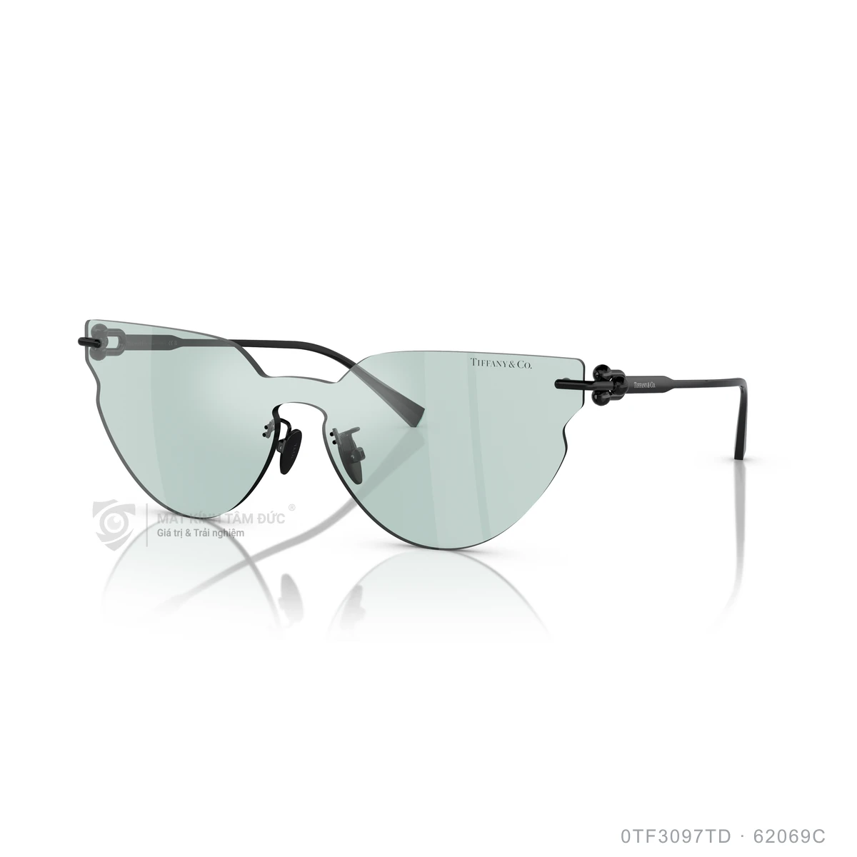 Kính mát Tiffany &amp; Co. 0TF3097TD - Ảnh 2
