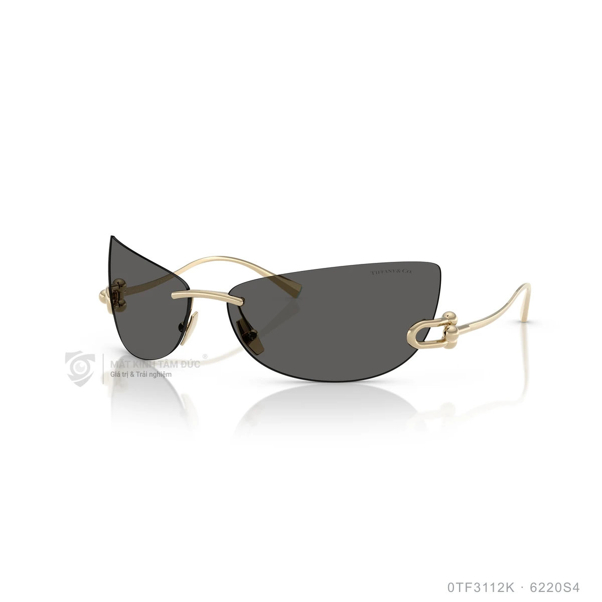 Kính mát Tiffany &amp; Co. 0TF3112K - Ảnh 2
