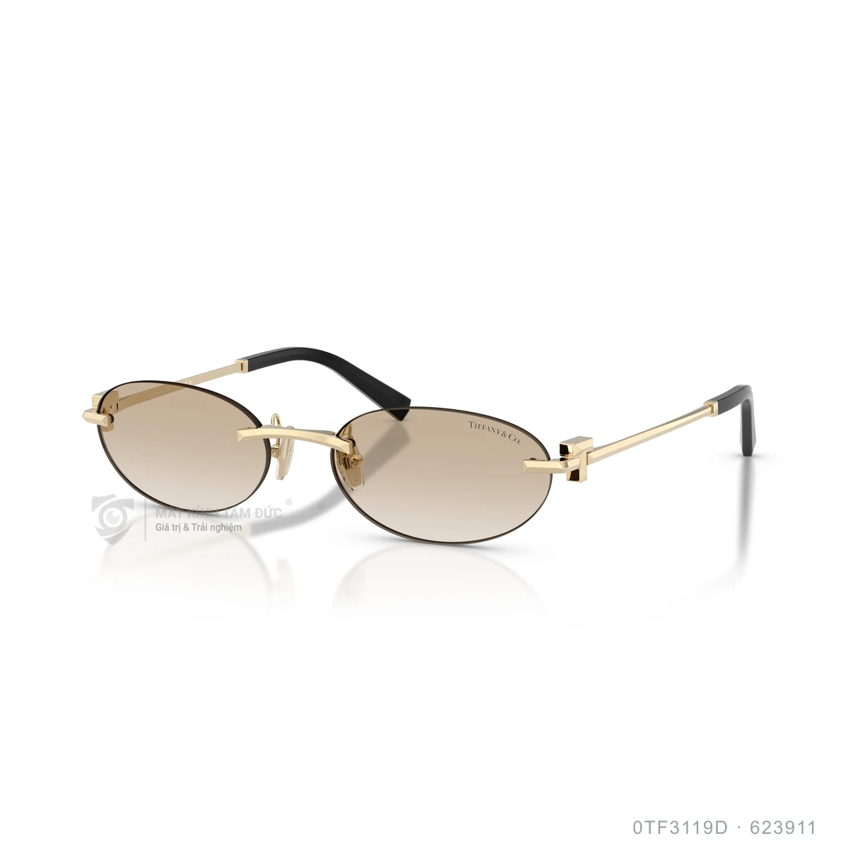 Kính mát Tiffany & Co. 0TF3119D - Ảnh 12