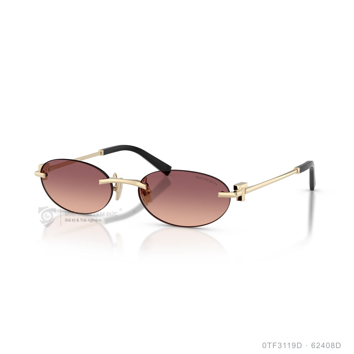 Kính mát Tiffany & Co. 0TF3119D - Ảnh 17