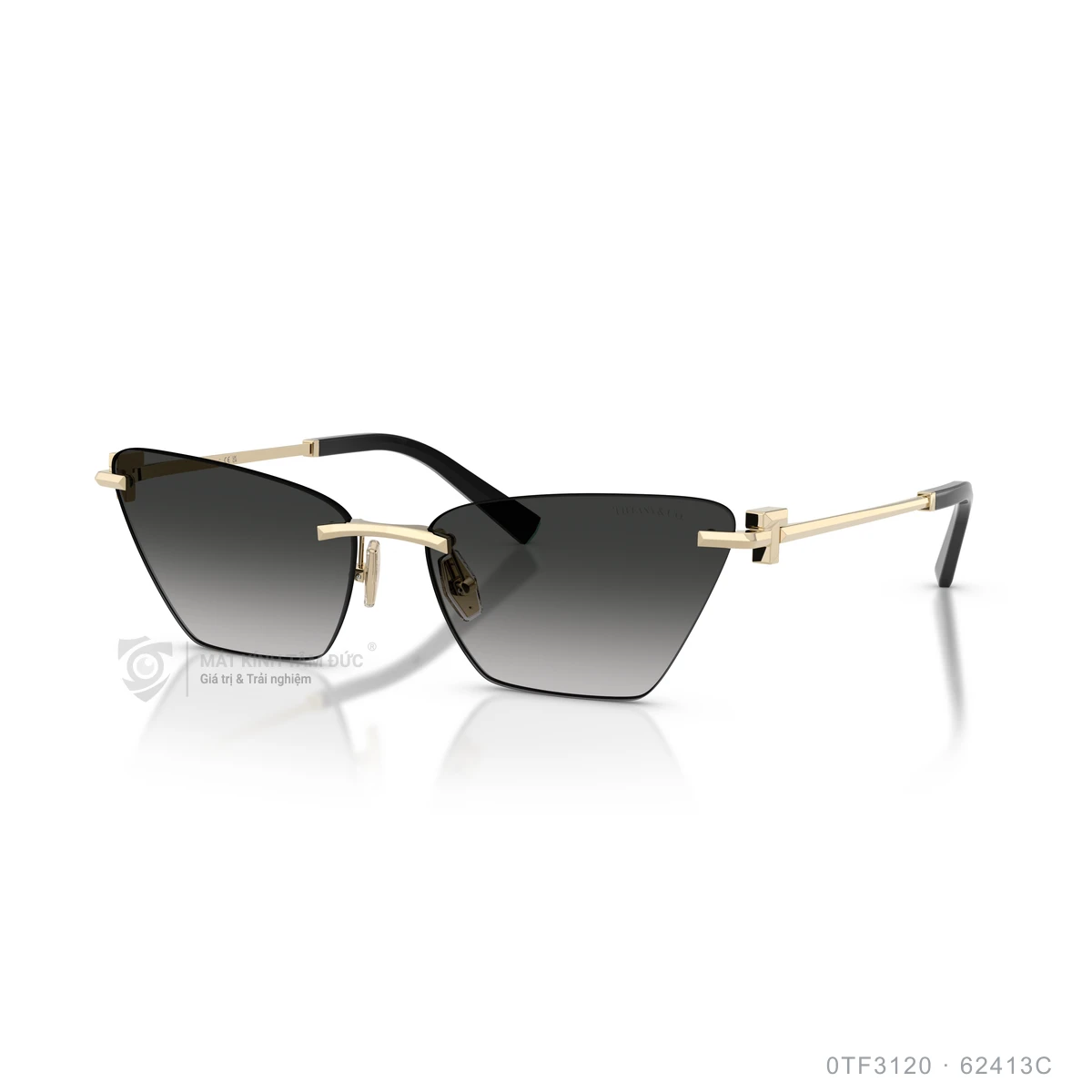 Kính mát Tiffany &amp; Co. 0TF3120 - Ảnh 12