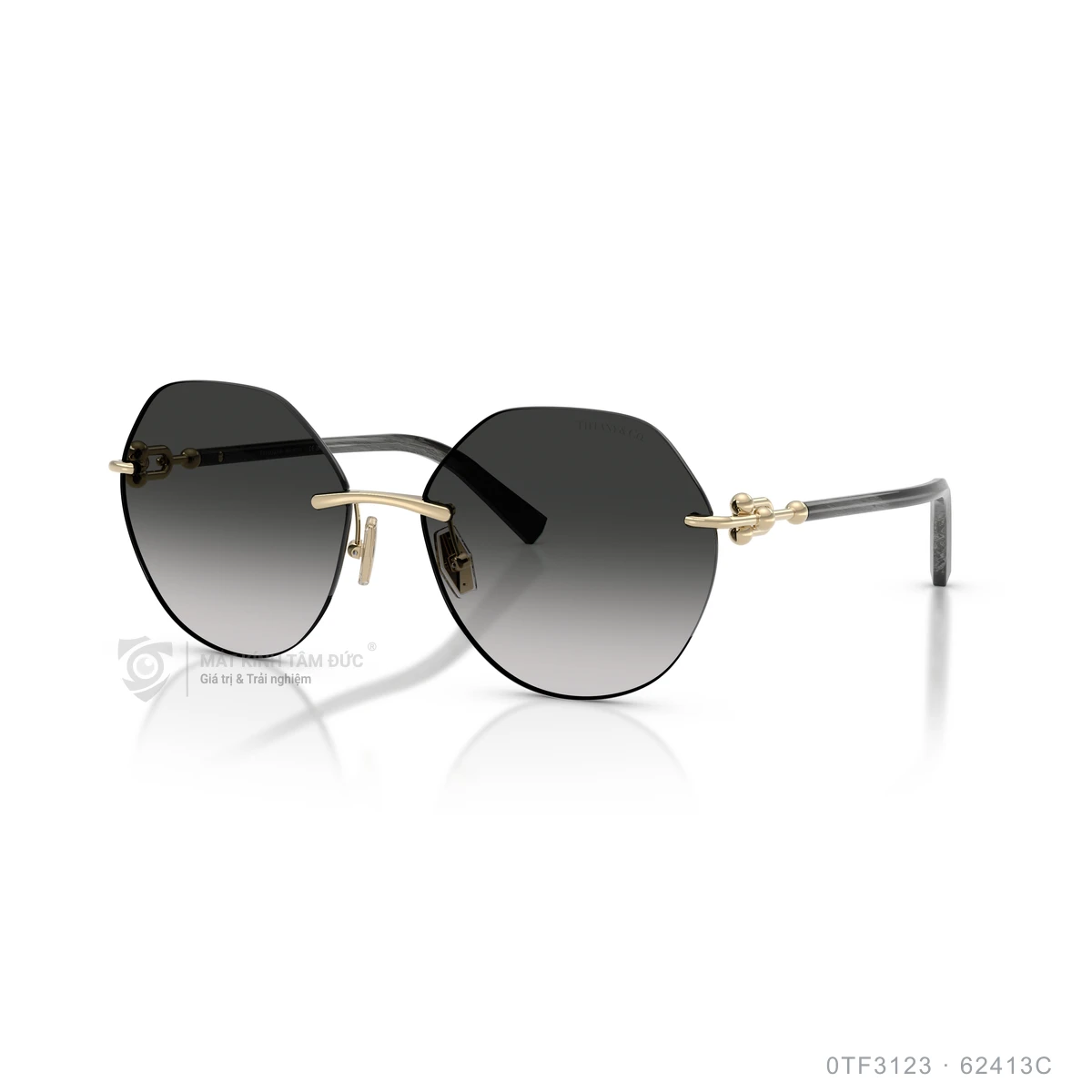 Kính mát Tiffany & Co. 0TF3123 - Ảnh 17