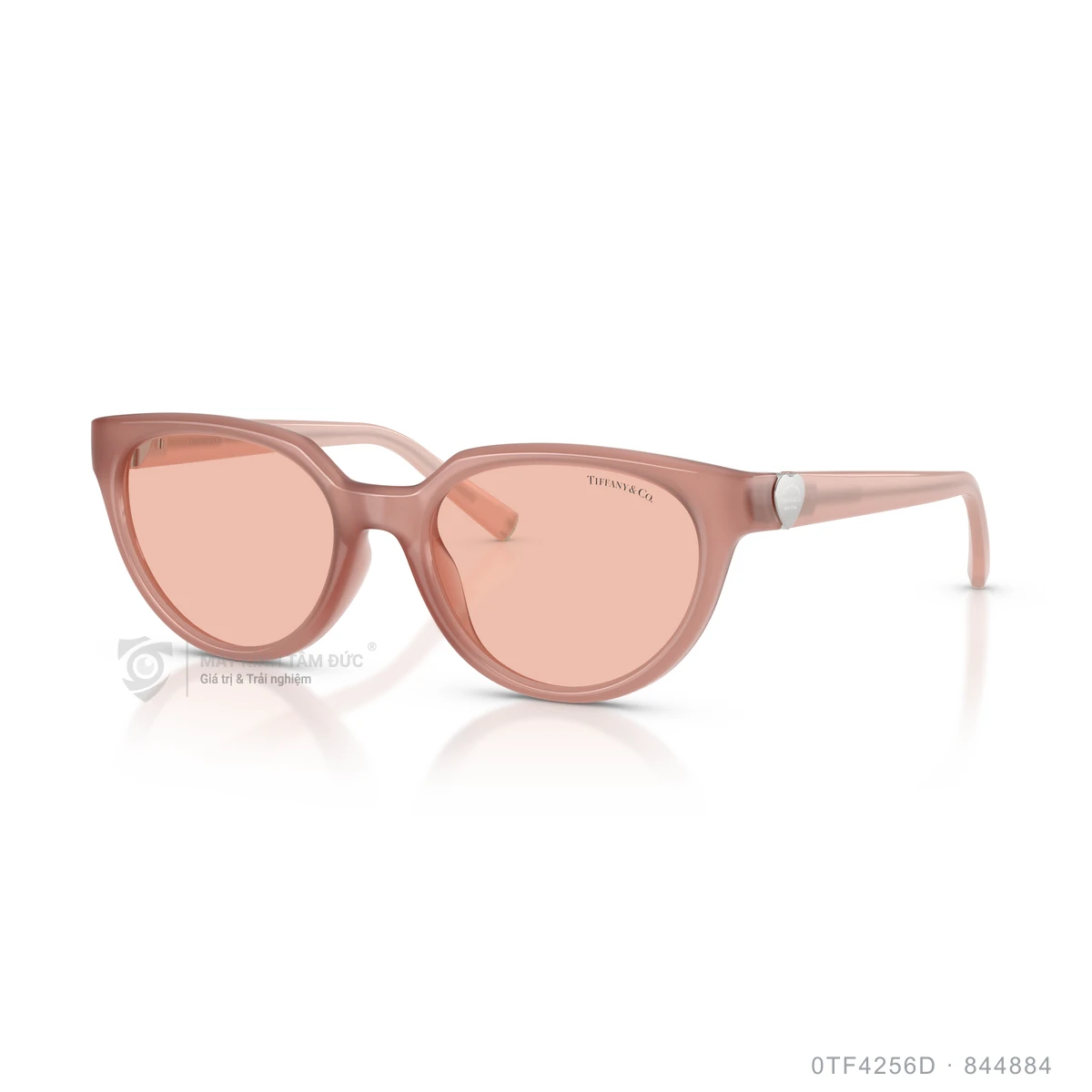 Kính mát Tiffany &amp; Co. 0TF4256D - Ảnh 12