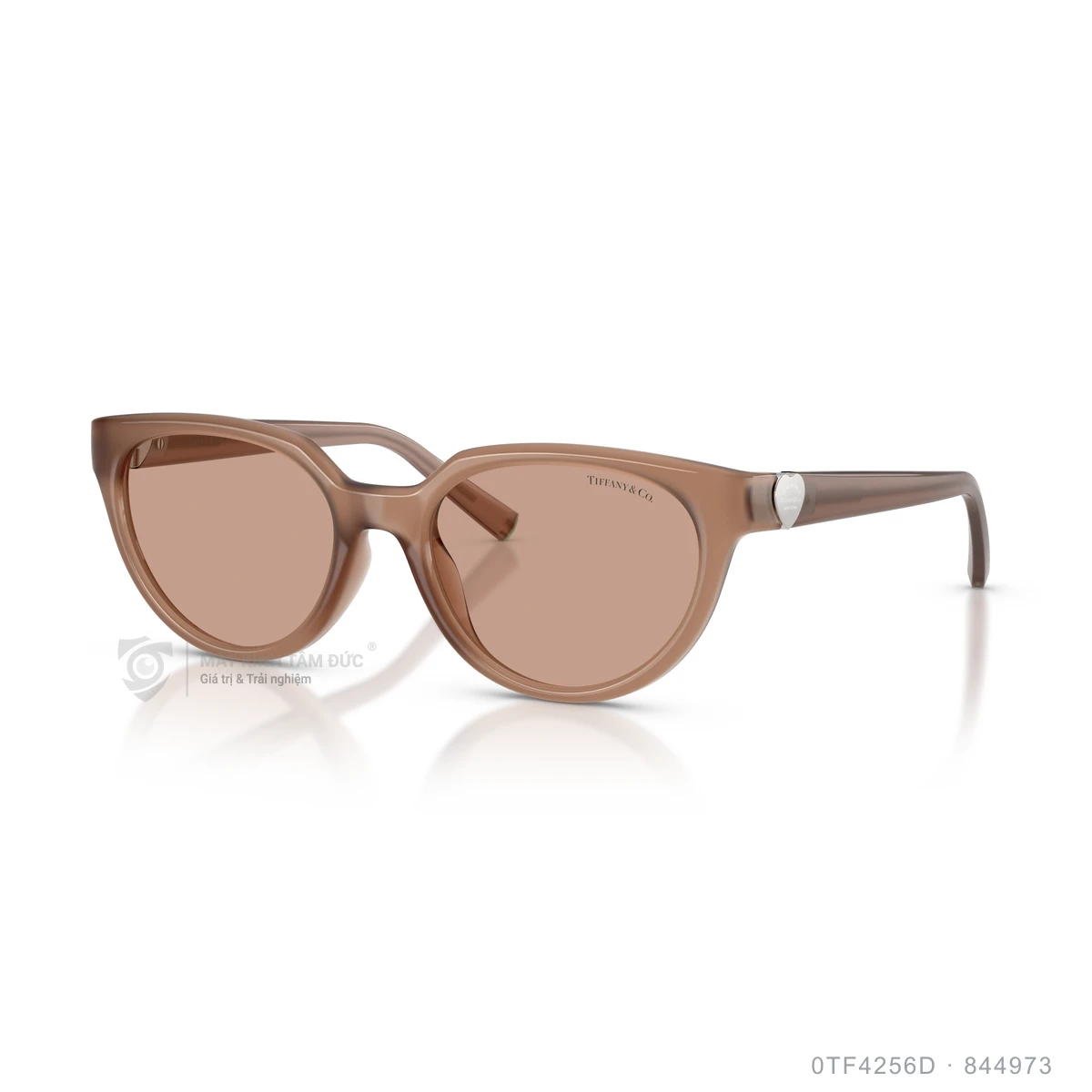 Kính mát Tiffany &amp; Co. 0TF4256D - Ảnh 17