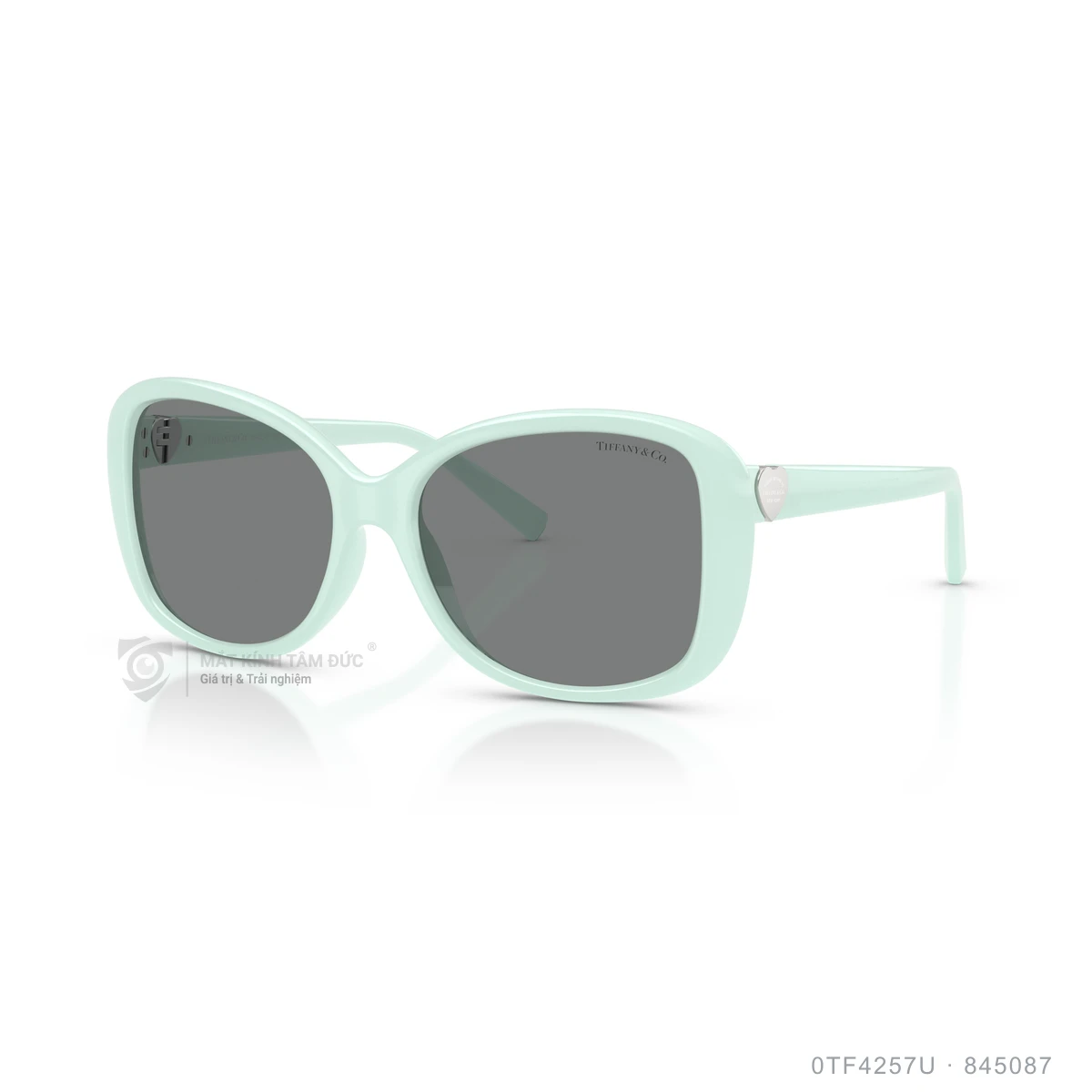 Kính mát Tiffany &amp; Co. 0TF4257U - Ảnh 12