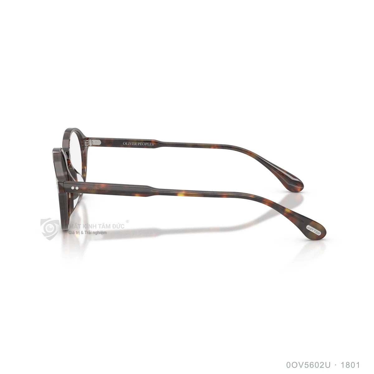 Gọng kính Oliver Peoples 0OV5602U - Ảnh 14