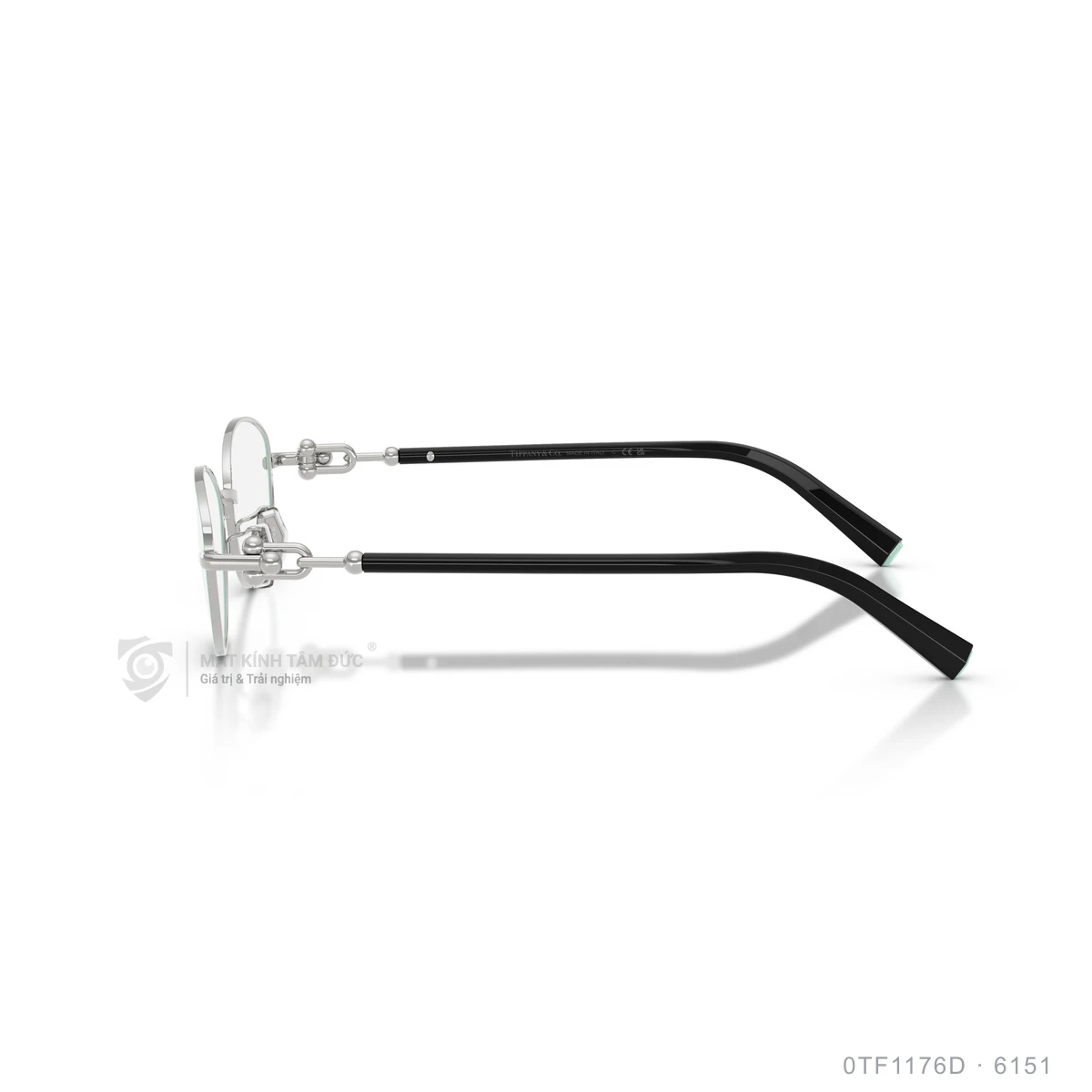 Gọng kính Tiffany & Co. 0TF1176D - Ảnh 14