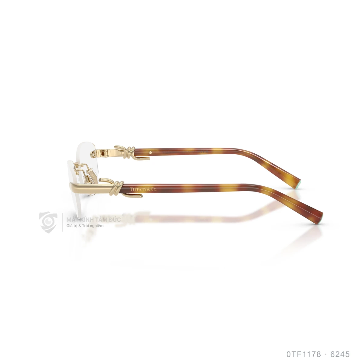 Gọng kính Tiffany & Co. 0TF1178 - Ảnh 14