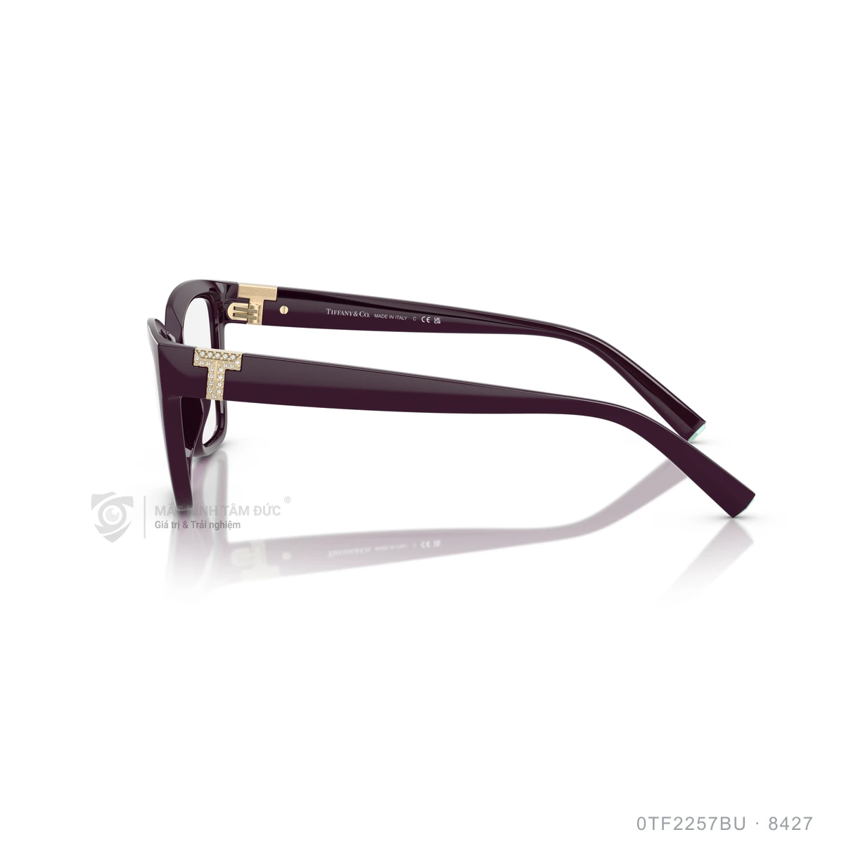 Gọng kính Tiffany &amp; Co. 0TF2257BU - Ảnh 9